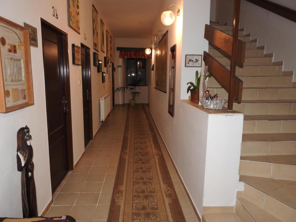 Hotel Stara Skola Na Sumave Hořice na Šumavě 외부 사진